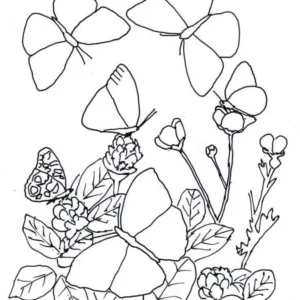 Desenhos de Butterflies para Colorir Imprimir Grátis 12