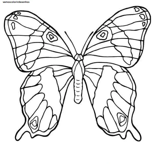 Desenhos de Butterflies para Colorir Imprimir Grátis 08