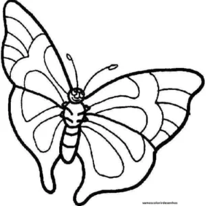 Desenhos de Butterflies para Colorir Imprimir Grátis 07