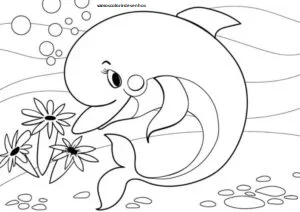 Desenhos de Pink dolphin para Colorir Imprimir Grátis 01