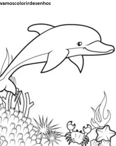 Desenhos de Pink dolphin para Colorir Imprimir Grátis 03