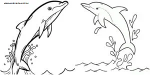 Desenhos de Pink dolphin para Colorir Imprimir Grátis 08