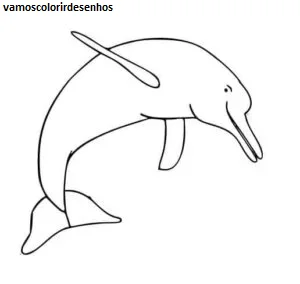 Desenhos de Brazilian Folklore Colorir Imprimir Grátis 14